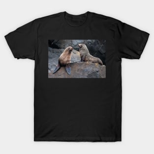 Australian Seals T-Shirt